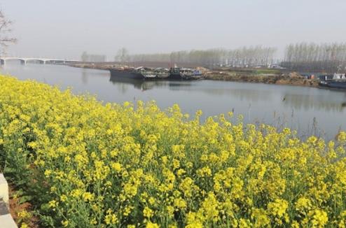 周口至省界航道提升工程正式获批，全长89.4公里，总投资超41亿元 沙颍河通航能力将翻倍，达到每年1亿吨
